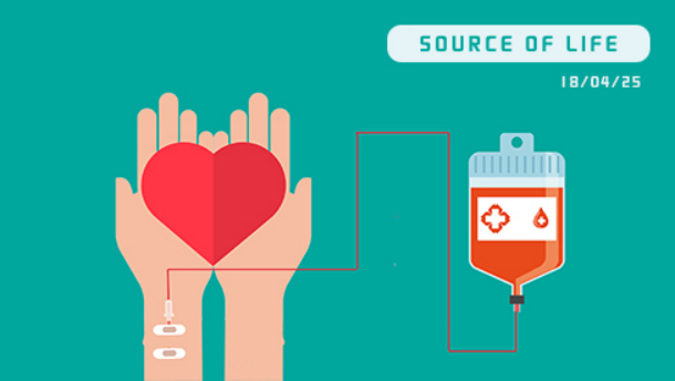 1667724801194216.png image.png